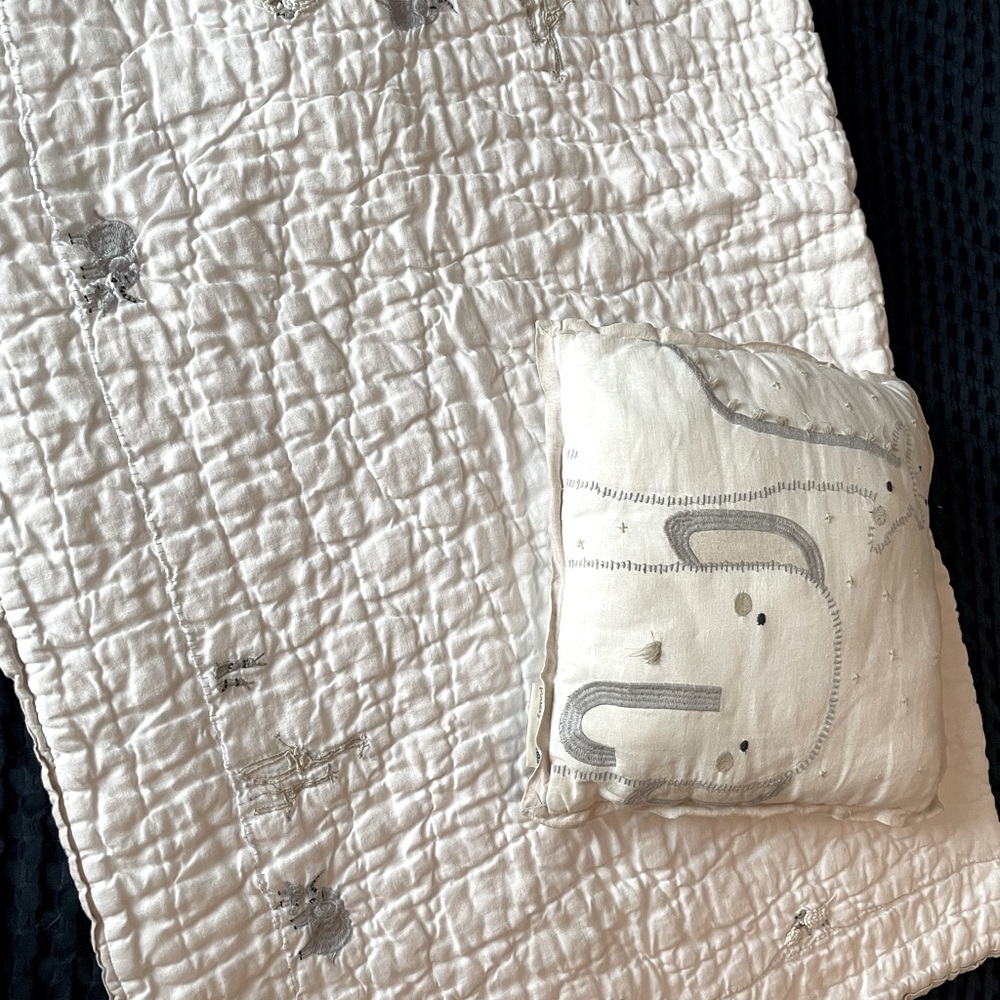 Pottery Barn Crib Quilt and Pillow - Safari !
